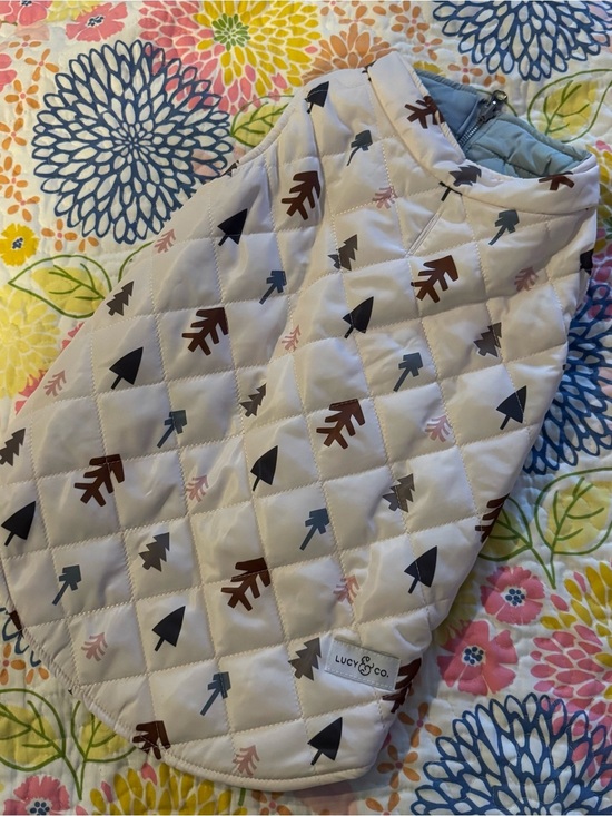 Lucy & Co. Other - Large Lucy & co reversible dog jacket